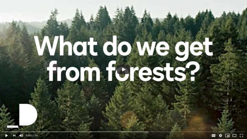 Forest Stewardship Council: What do we get from forests?